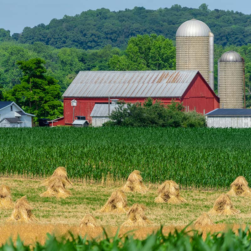farm land with barn in background