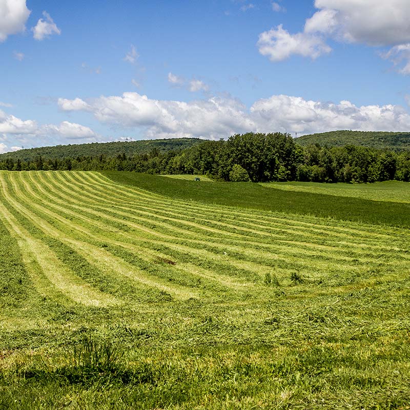 farm land